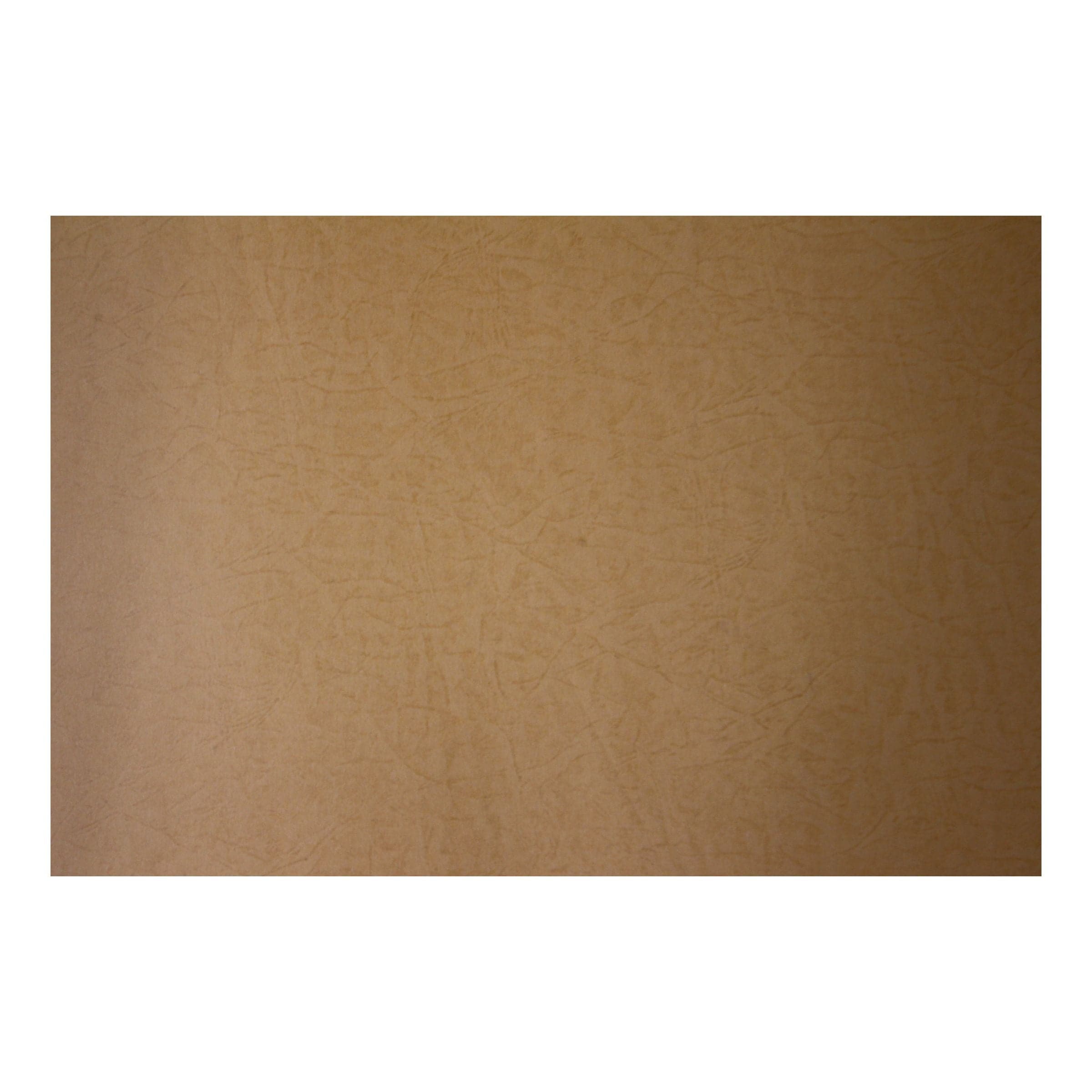 Pastel Sheet 20x30 1pc