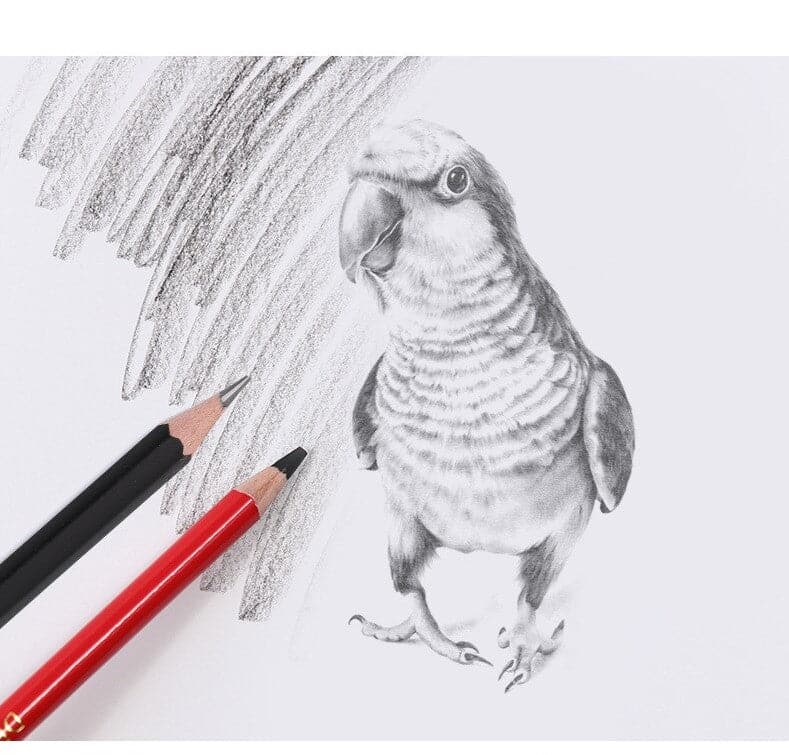 Wooden Colored Drawing Artist Pencil Case Set