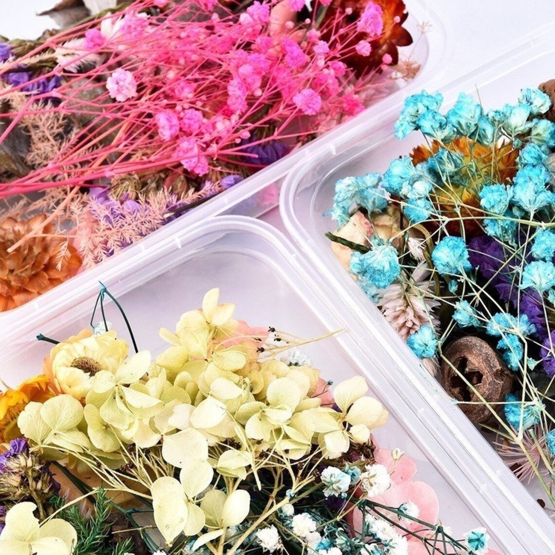 1 Box Mix Beautiful Real Dried Natural Flowers for Resin Jewelry Craft Making