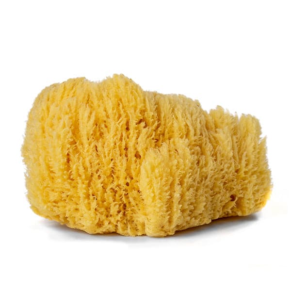 Daler Rowney Artistâ€™S Natural Sponge